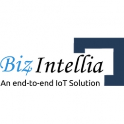 Biz4Intellia Logo